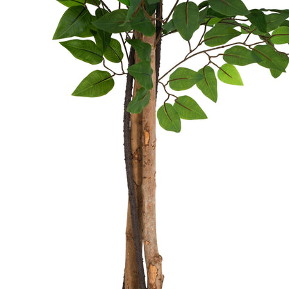 Varian 74" Artificial Ficus Tree with Black Plastic Pot