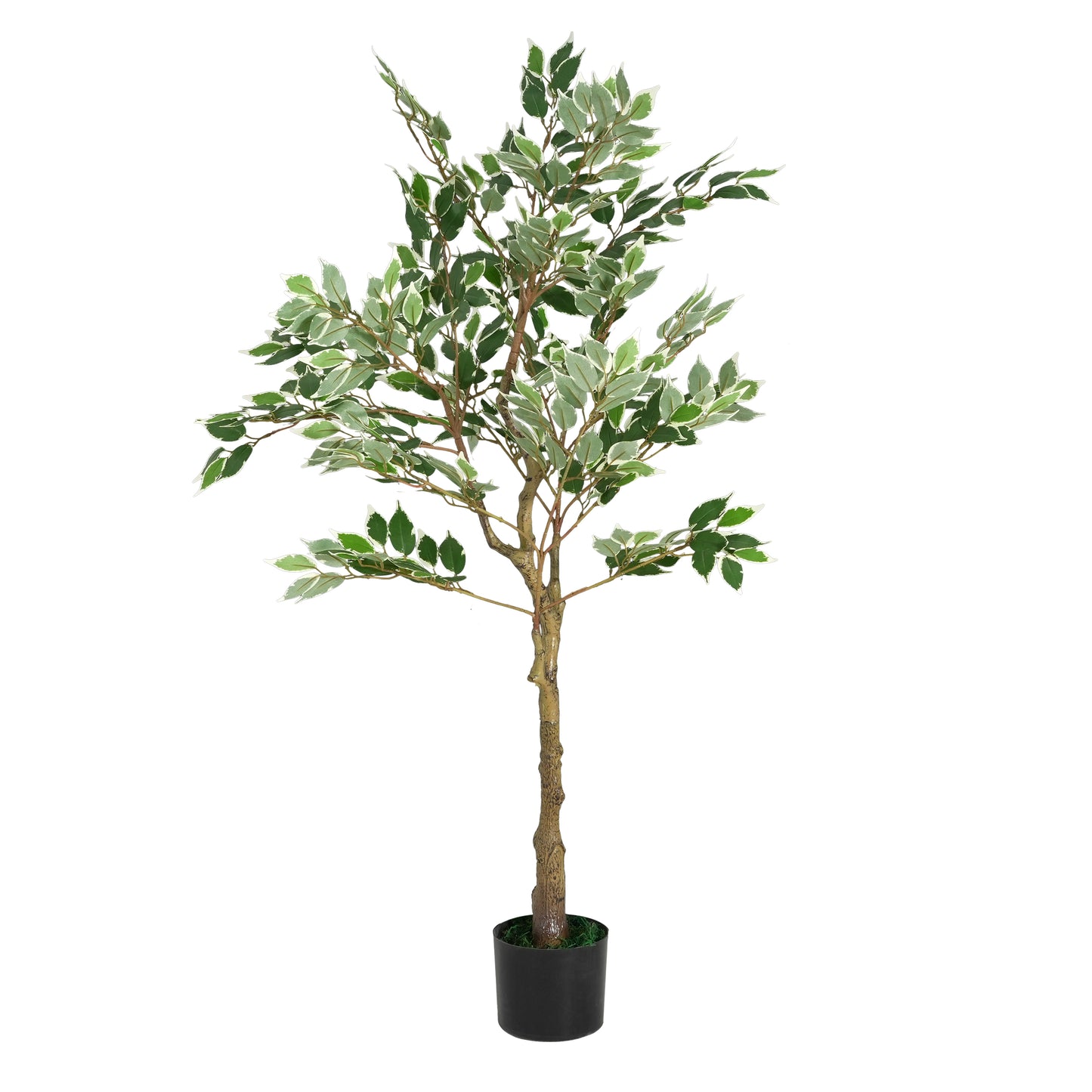 Marcellus 51" Artificial Ficus Tree with Black Plastic Pot