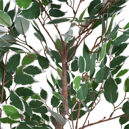 Marcellus 51" Artificial Ficus Tree with Black Plastic Pot