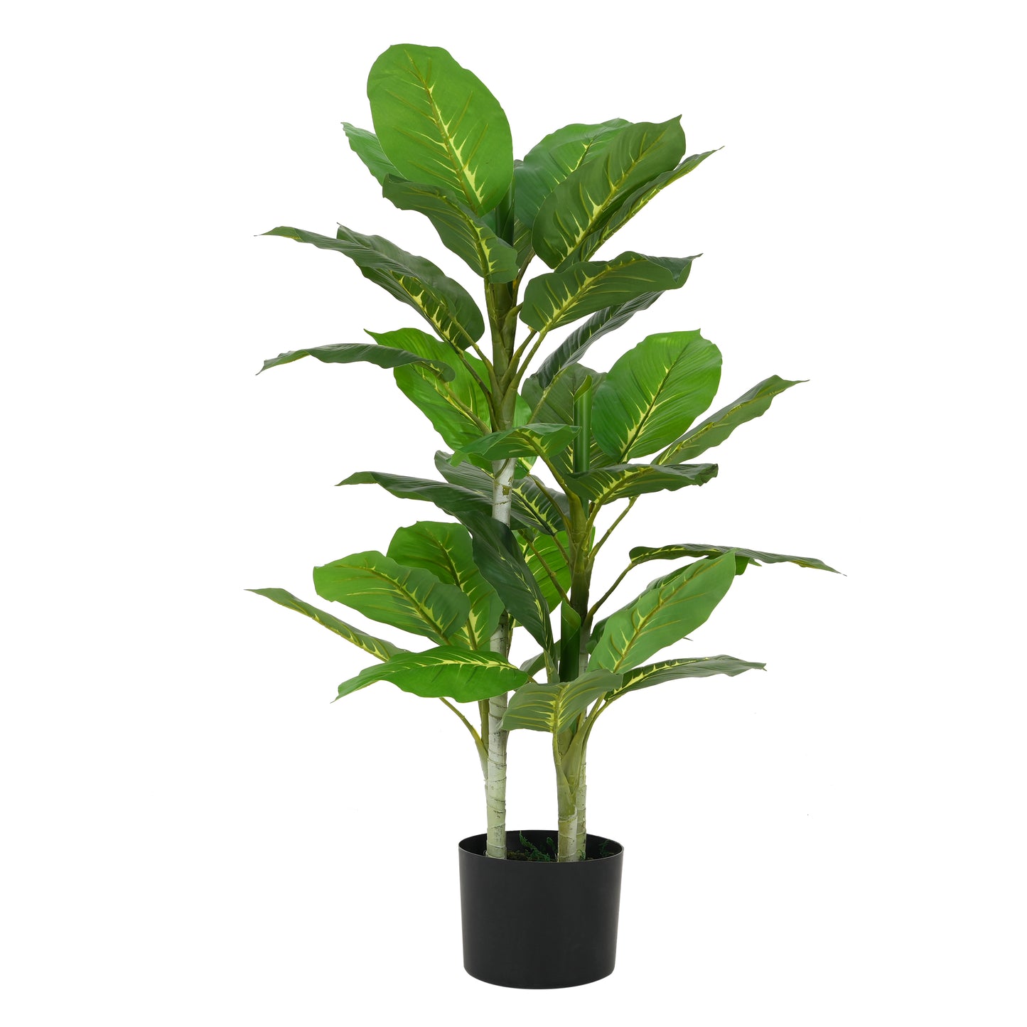 Dastan 42" Artificial Dieffenbachia Plant with Black Plastic Pot