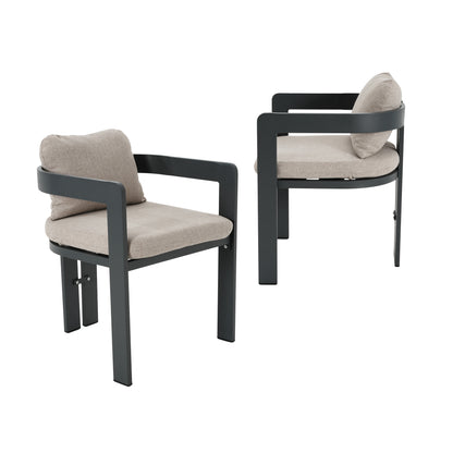 Quentinn Outdoor Patio Dining Chairs with Cushion, Set of 2