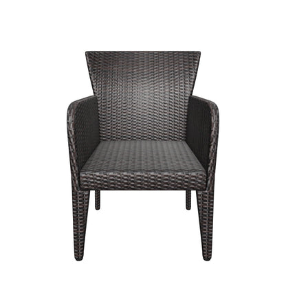 Seawall Outdoor Wicker Dining Chair (Set of 2)