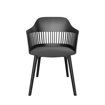 Irene Outdoor Modern Dining Chair (Set of 2)
