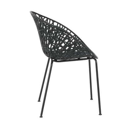 Dahliae Outdoor Patio Dining Chairs, Iron & Plastic, Set of 2