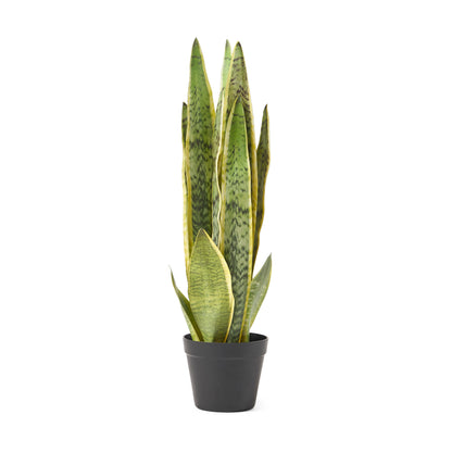 McClure Artificial Tabletop Snake Plant