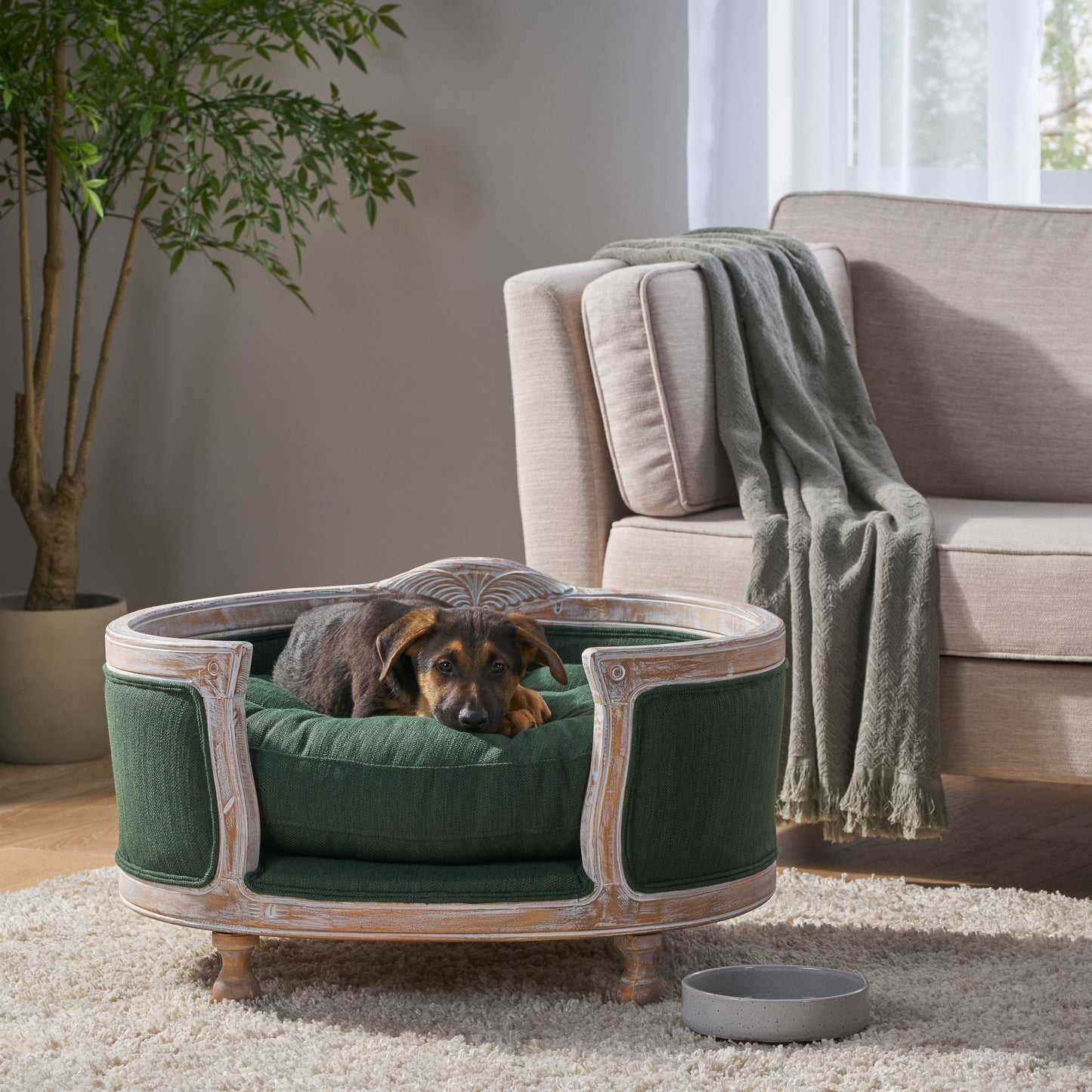 Burgos Contemporary Upholstered Medium Pet Bed with Wood Frame