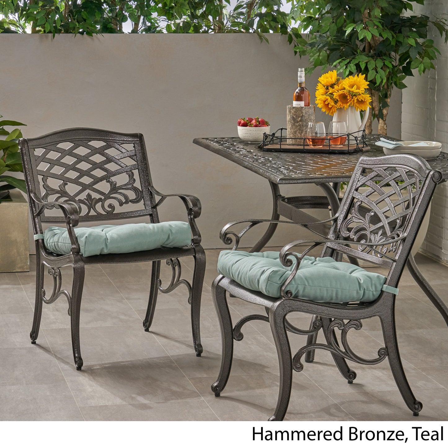 Juel Outdoor Dining Chair with Cushion (Set of 2)