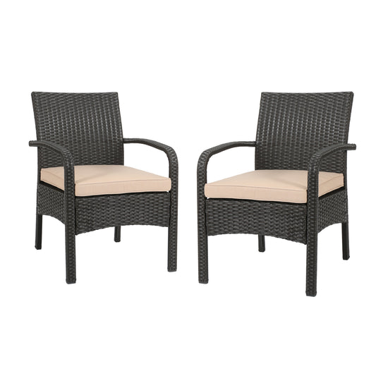 Otto Outdoor Contemporary Wicker Club Chairs with Cushion (Set of 2)