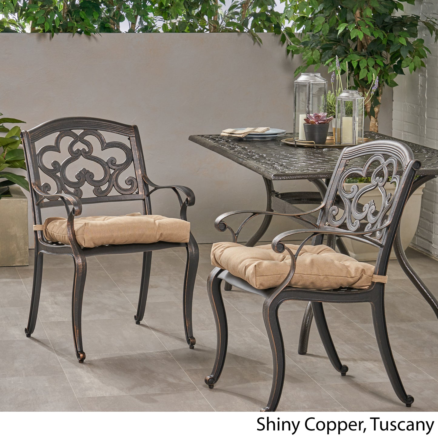 Sher Outdoor Dining Chair with Cushion (Set of 2)