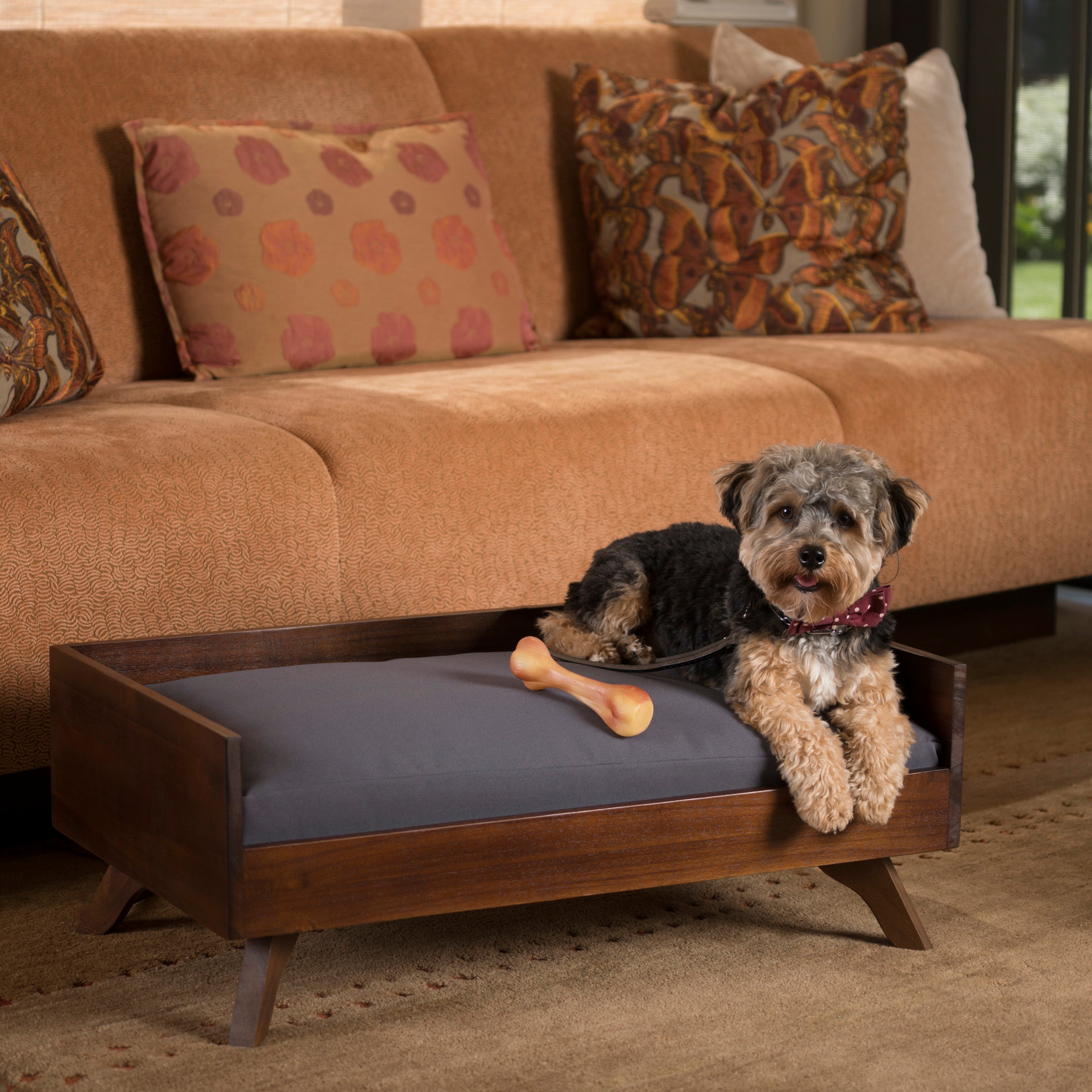 Contemporary hotsell dog bed