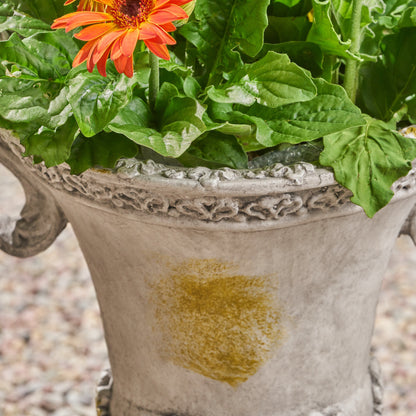 Renee Chalice Garden Urn Planter, Roman, Botanical, Lightweight Concrete