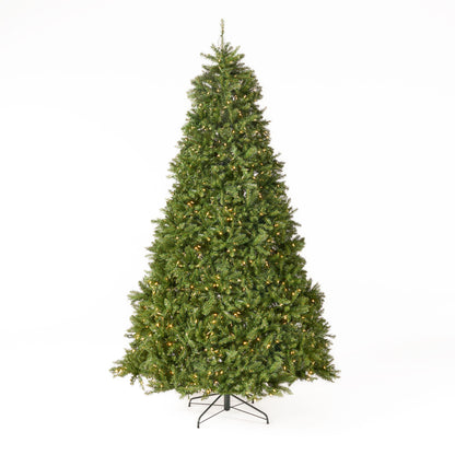 9-foot Fraser Fir Pre-Lit Clear LED Hinged Artificial Christmas Tree