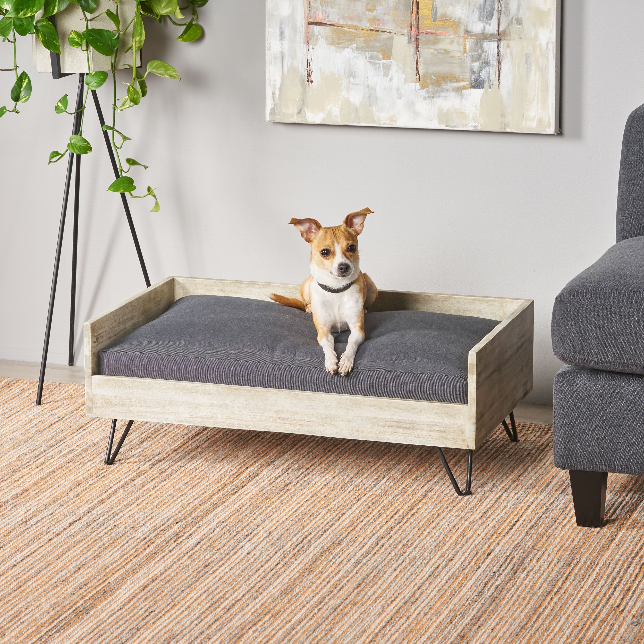 Mid century hot sale modern dog bed