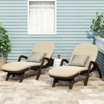 Riley Outdoor Faux Wicker Chaise Lounges with Cushion (Set of 2)