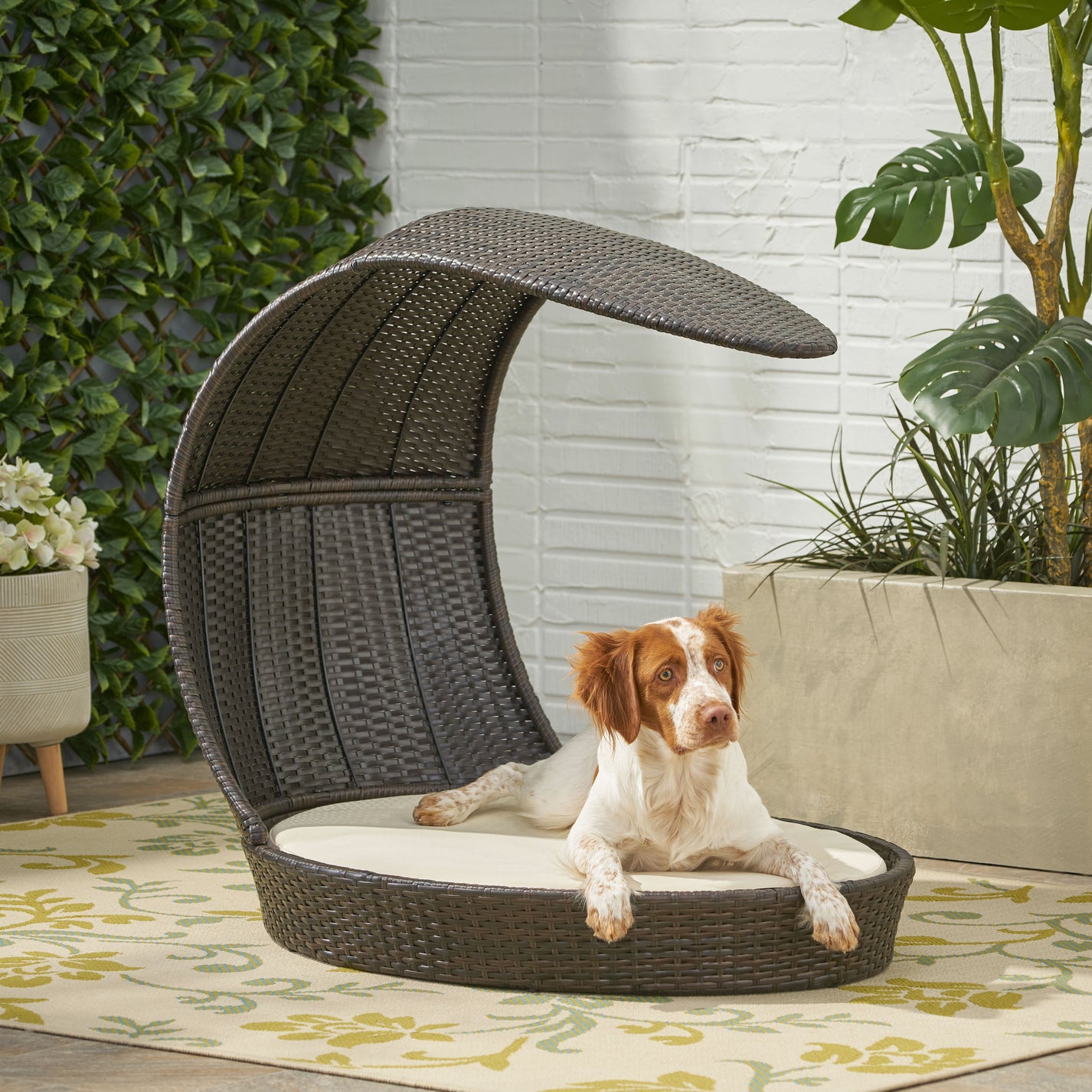 Esom Outdoor Wicker Dog Bed with Water-Resistant Cushion – GDFStudio