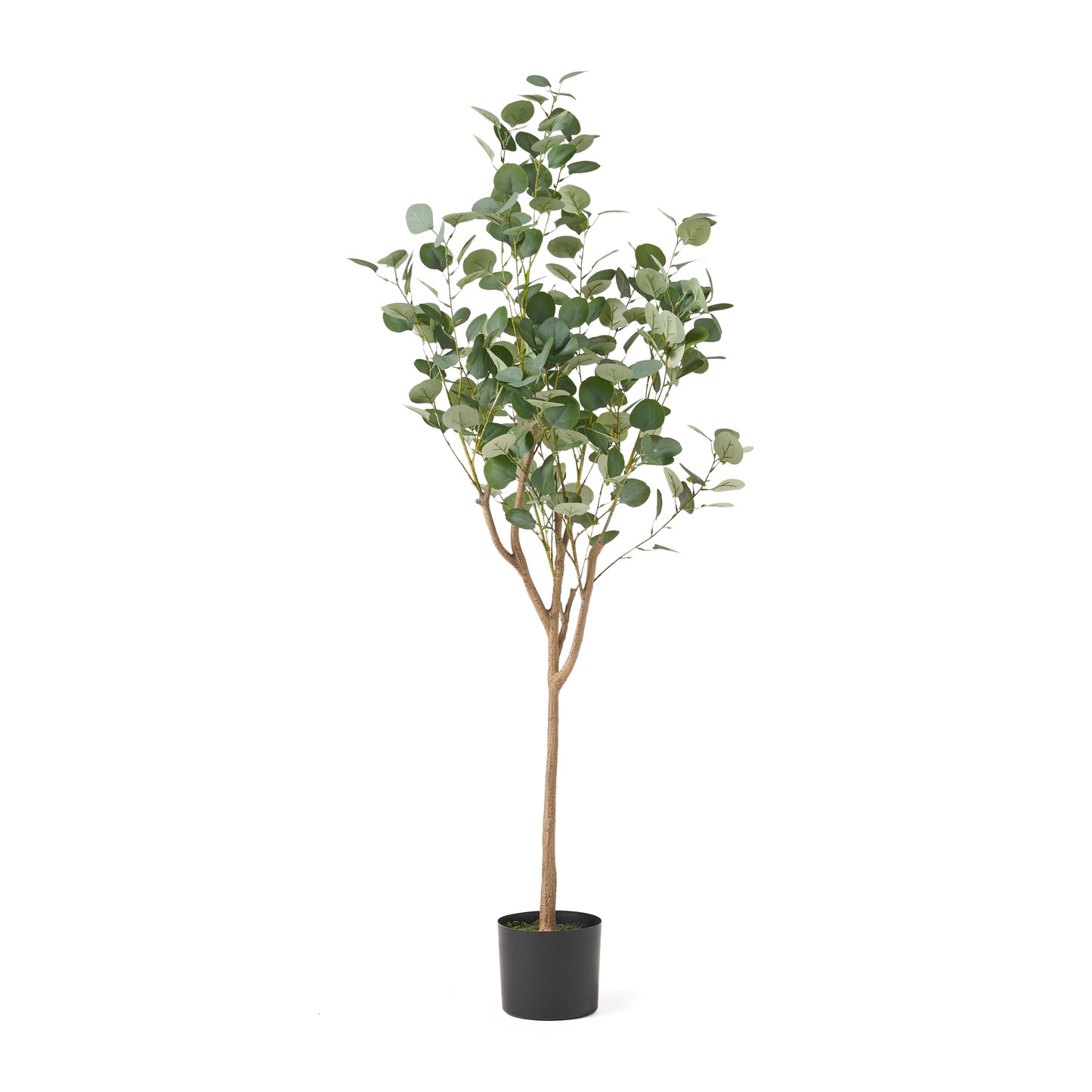 Davos Artificial Eucalyptus Tree