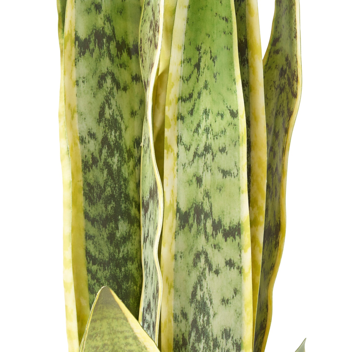 McClure Artificial Tabletop Snake Plant