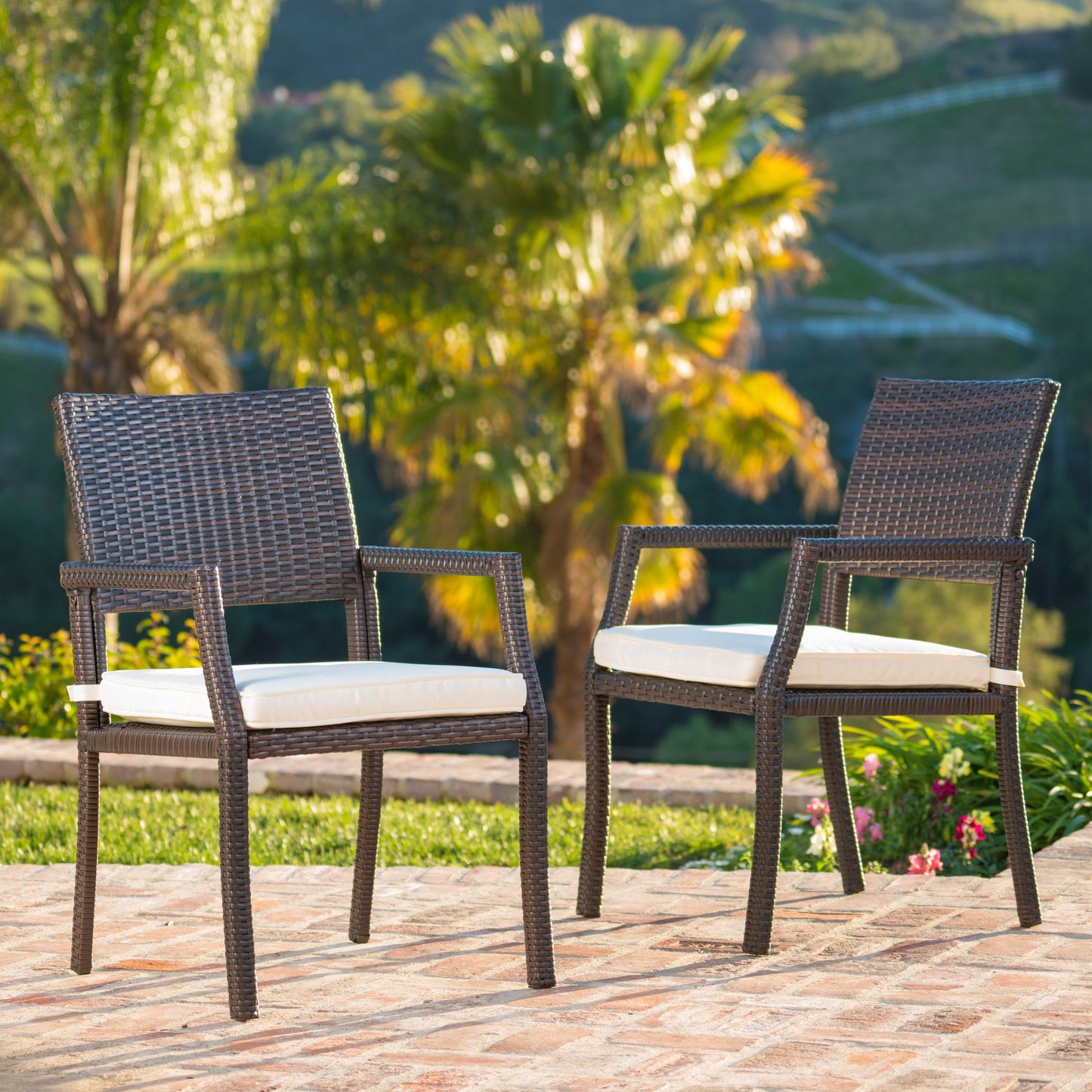 Edene Outdoor Wicker Dining Chairs Water Resistant Cushions (Set of 2)