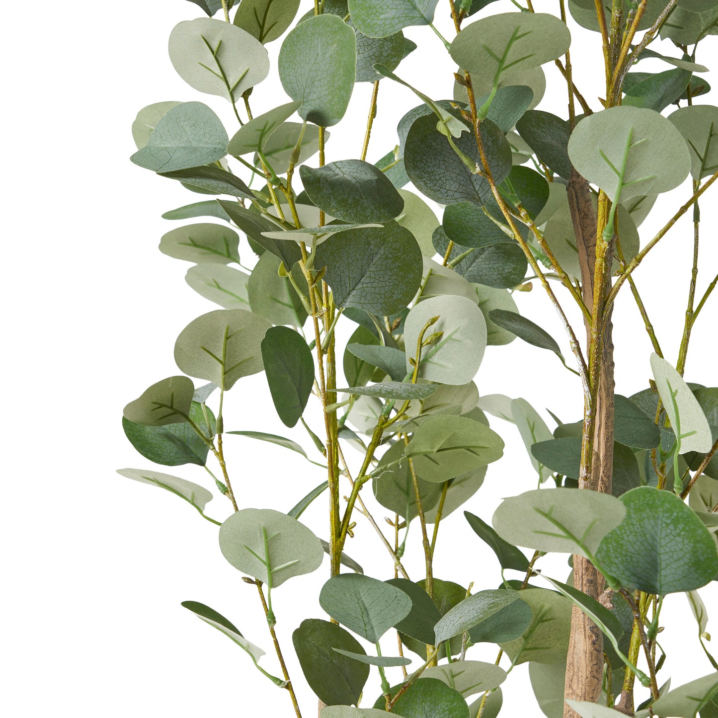 Davos Artificial Eucalyptus Tree