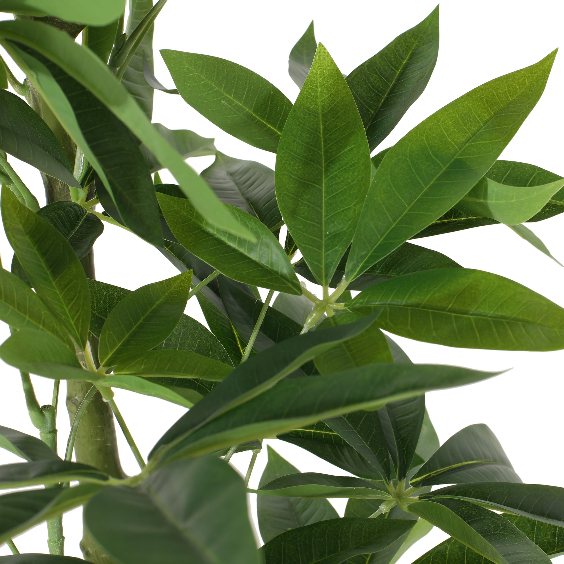 fake money tree plant Coles Artificial Money Tree – GDFStudio